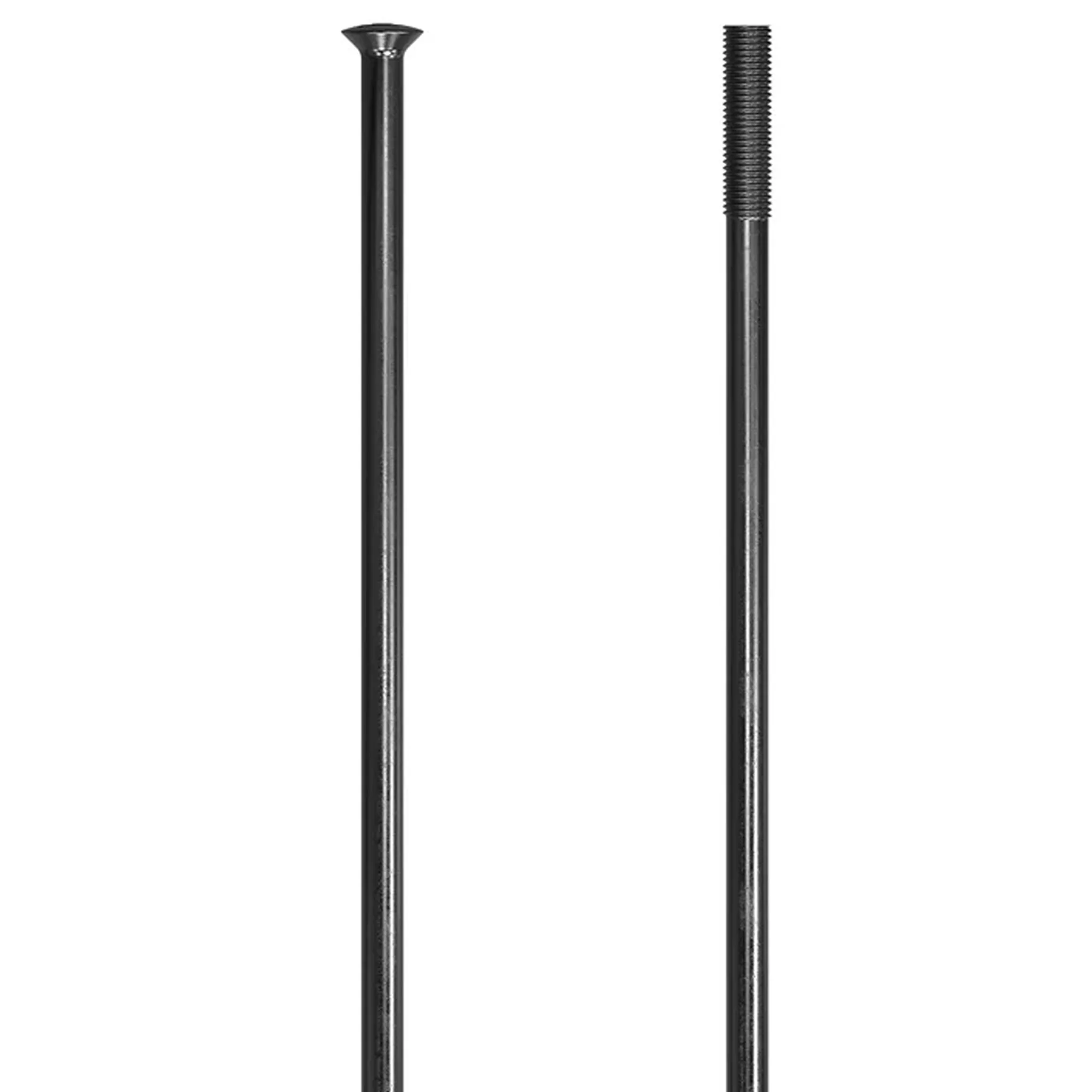 DT Swiss Champion 14g Spoke SP Black 288mm 20/Count