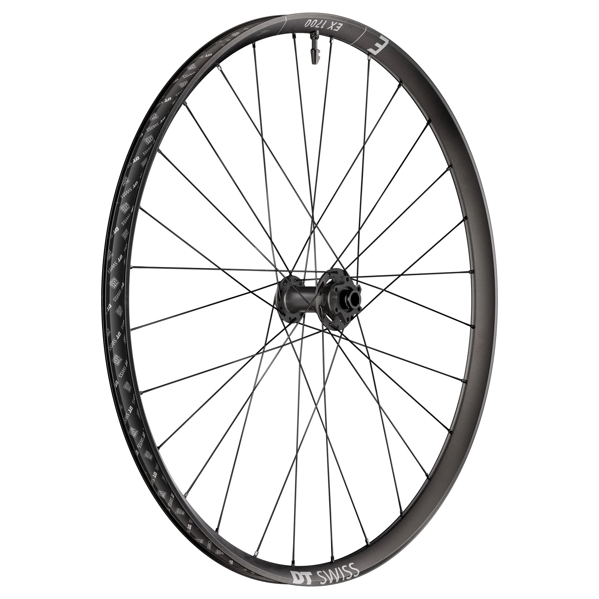 DT Swiss EX 1700 Classic 30 Front Wheel - 29" 15 x 110mm 6-Bolt Black