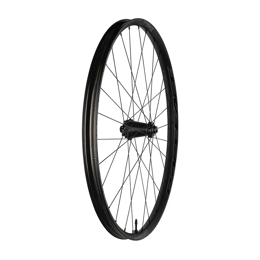 Race Face Turbine-R 35 29" Front Wheel 15x110 Boost Black